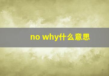 no why什么意思